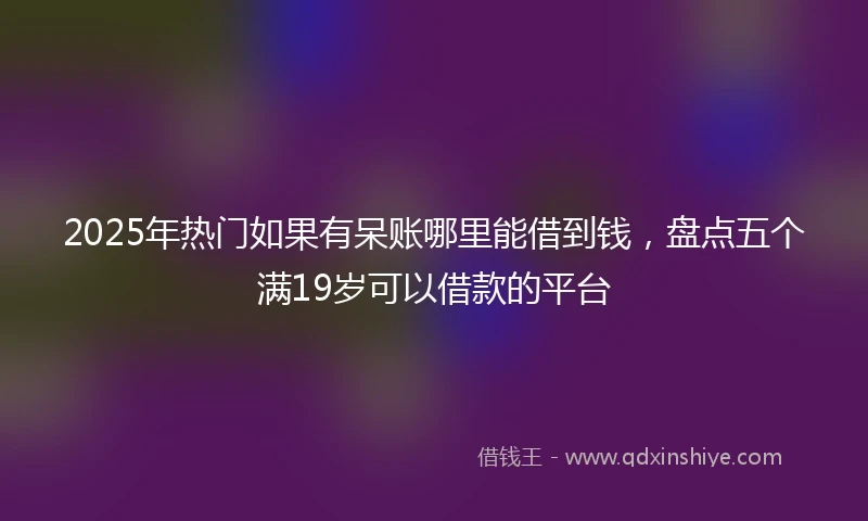 2025年热门如果有呆账哪里能借到钱，盘点五个满19岁可以借款的平台