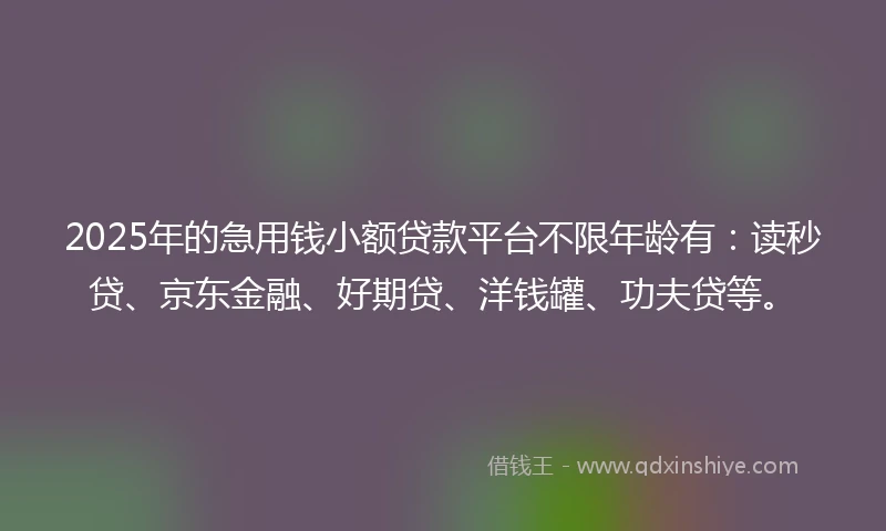 2025年的急用钱小额贷款平台不限年龄有：读秒贷、京东金融、好期贷、洋钱罐、功夫贷等。
