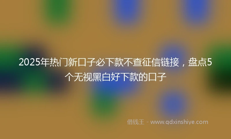 2025年热门新口子必下款不查征信链接，盘点5个无视黑白好下款的口子