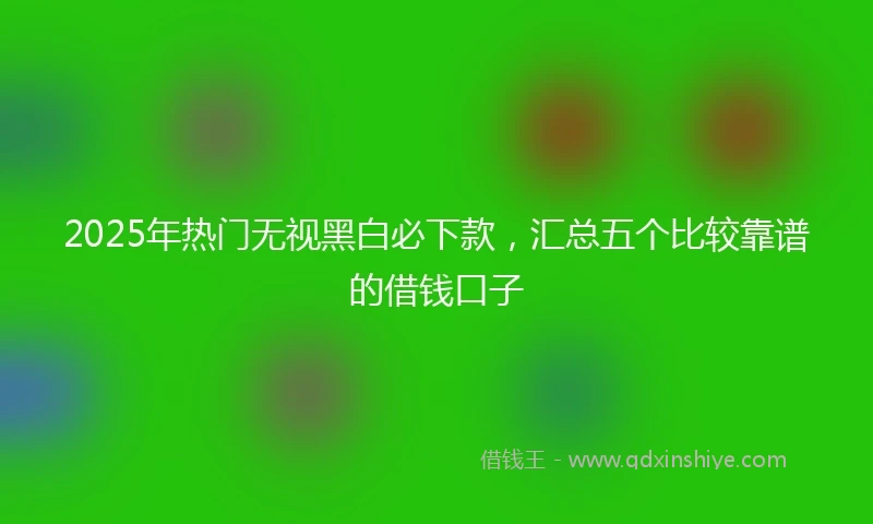 2025年热门无视黑白必下款，汇总五个比较靠谱的借钱口子