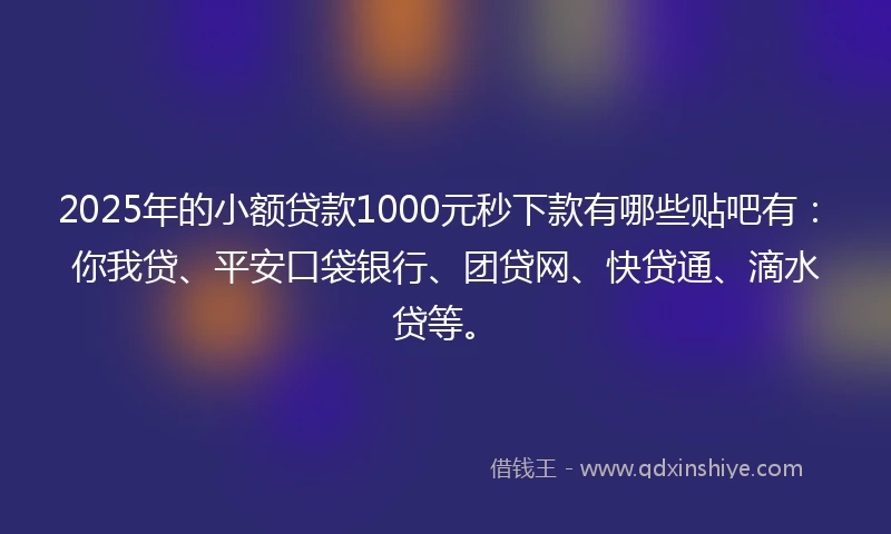 2025年的小额贷款1000元秒下款有哪些贴吧有：你我贷、平安口袋银行、团贷网、快贷通、滴水贷等。