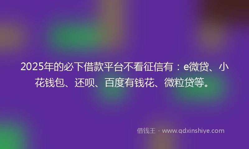 2025年的必下借款平台不看征信有：e微贷、小花钱包、还呗、百度有钱花、微粒贷等。