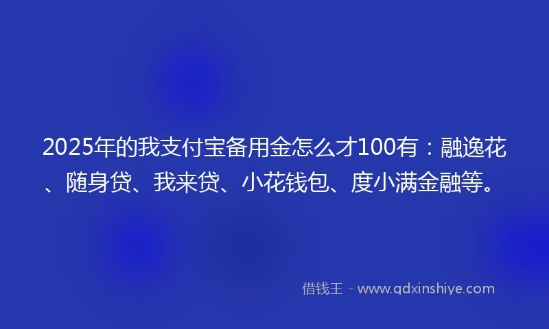 2025年的我支付宝备用金怎么才100有：融逸花、随身贷、我来贷、小花钱包、度小满金融等。