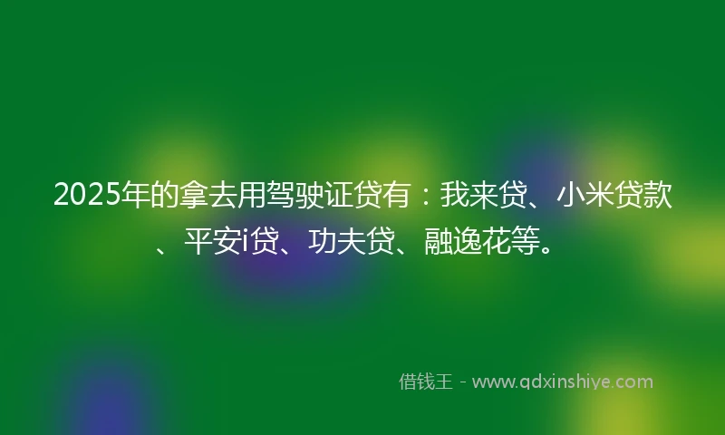 2025年的拿去用驾驶证贷有：我来贷、小米贷款、平安i贷、功夫贷、融逸花等。