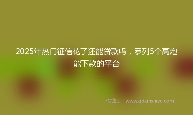 2025年热门征信花了还能贷款吗,罗列5个高炮能下款的平台