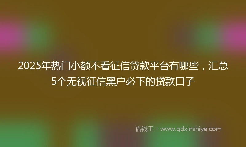 2025年热门小额不看征信贷款平台有哪些，汇总5个无视征信黑户必下的贷款口子