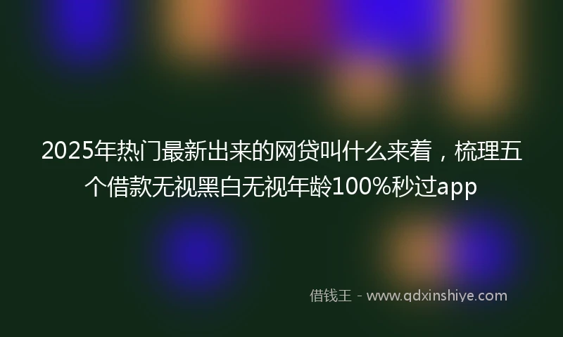 2025年热门最新出来的网贷叫什么来着，梳理五个借款无视黑白无视年龄100%秒过app