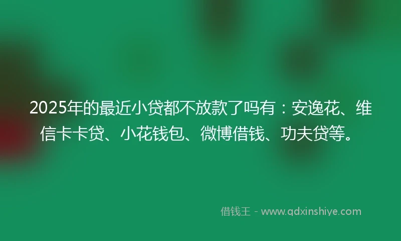 2025年的最近小贷都不放款了吗有：安逸花、维信卡卡贷、小花钱包、微博借钱、功夫贷等。