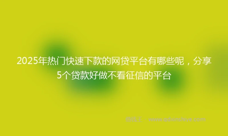 2025年热门快速下款的网贷平台有哪些呢，分享5个贷款好做不看征信的平台