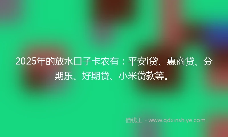 2025年的放水口子卡农有：平安i贷、惠商贷、分期乐、好期贷、小米贷款等。