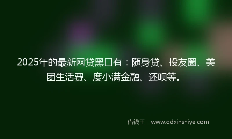 2025年的最新网贷黑口有：随身贷、投友圈、美团生活费、度小满金融、还呗等。