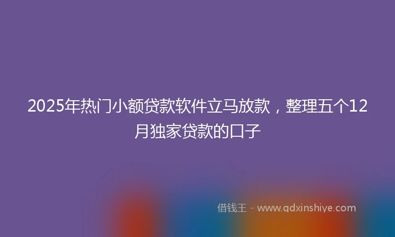 2025年热门小额贷款软件立马放款，整理五个12月独家贷款的口子