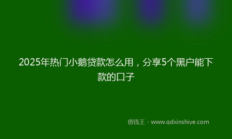 2025年热门小鹅贷款怎么用，分享5个黑户能下款的口子