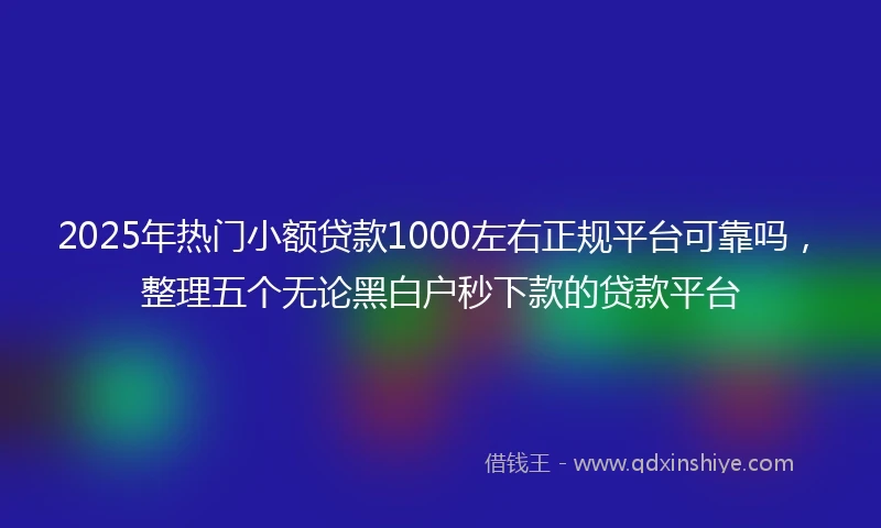 2025年热门小额贷款1000左右正规平台可靠吗，整理五个无论黑白户秒下款的贷款平台