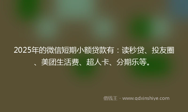 2025年的微信短期小额贷款有：读秒贷、投友圈、美团生活费、超人卡、分期乐等。