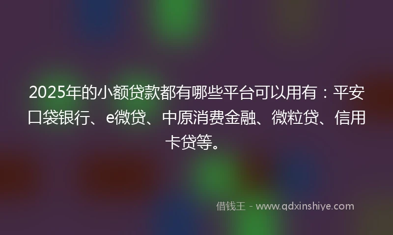 2025年的小额贷款都有哪些平台可以用有：平安口袋银行、e微贷、中原消费金融、微粒贷、信用卡贷等。
