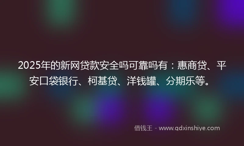 2025年的新网贷款安全吗可靠吗有：惠商贷、平安口袋银行、柯基贷、洋钱罐、分期乐等。