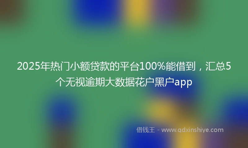 2025年热门小额贷款的平台100%能借到，汇总5个无视逾期大数据花户黑户app
