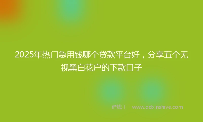 2025年热门急用钱哪个贷款平台好，分享五个无视黑白花户的下款口子
