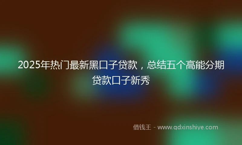 2025年热门最新黑口子贷款，总结五个高能分期贷款口子新秀