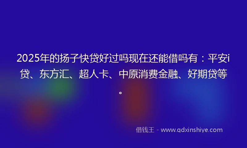 2025年的扬子快贷好过吗现在还能借吗有：平安i贷、东方汇、超人卡、中原消费金融、好期贷等。