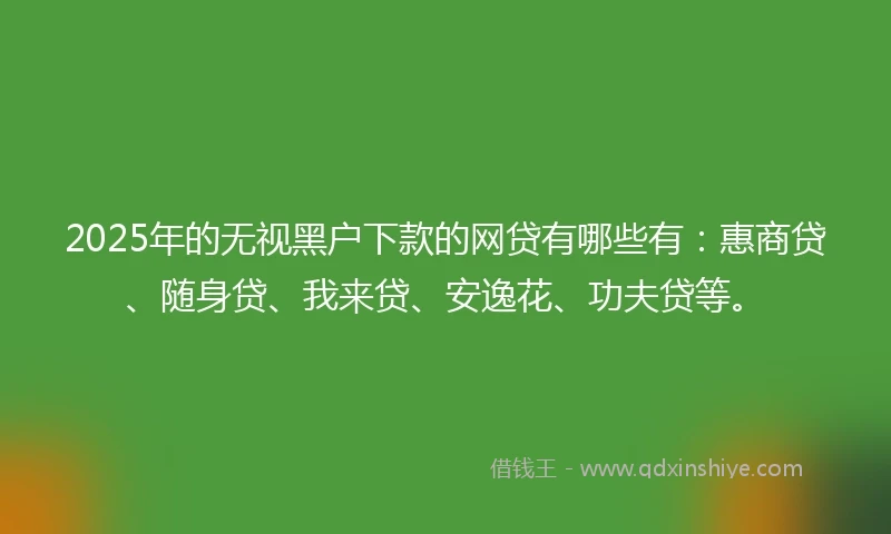 2025年的无视黑户下款的网贷有哪些有：惠商贷、随身贷、我来贷、安逸花、功夫贷等。