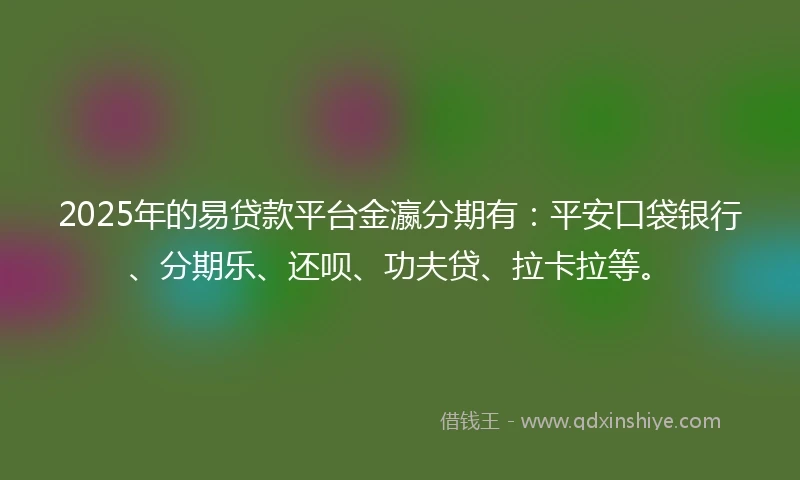 2025年的易贷款平台金瀛分期有：平安口袋银行、分期乐、还呗、功夫贷、拉卡拉等。