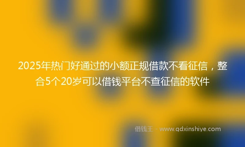 2025年热门好通过的小额正规借款不看征信，整合5个20岁可以借钱平台不查征信的软件