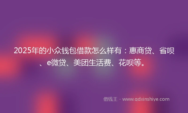 2025年的小众钱包借款怎么样有：惠商贷、省呗、e微贷、美团生活费、花呗等。