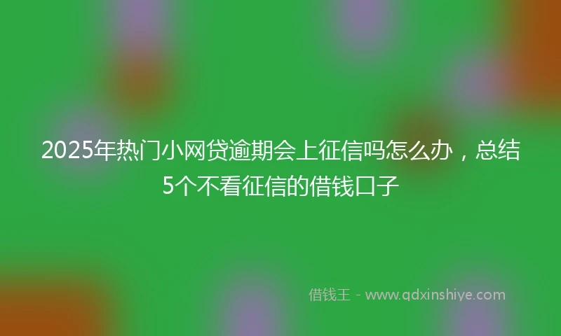 2025年热门小网贷逾期会上征信吗怎么办，总结5个不看征信的借钱口子