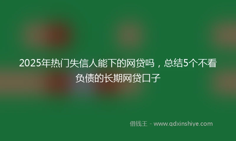 2025年热门失信人能下的网贷吗，总结5个不看负债的长期网贷口子