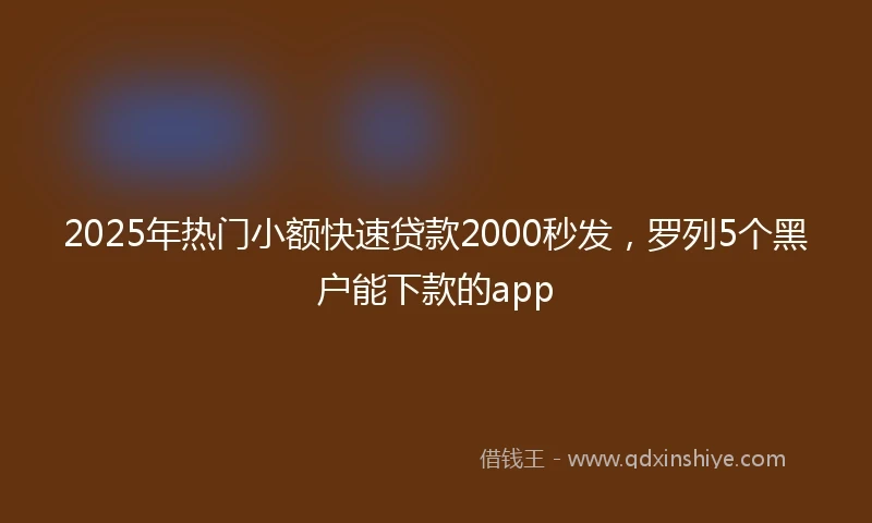 2025年热门小额快速贷款2000秒发，罗列5个黑户能下款的app