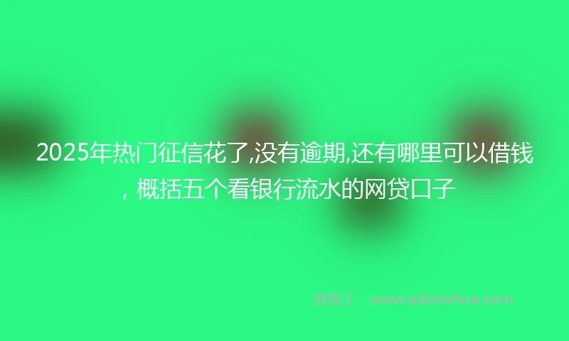 2025年热门征信花了,没有逾期,还有哪里可以借钱，概括五个看银行流水的网贷口子