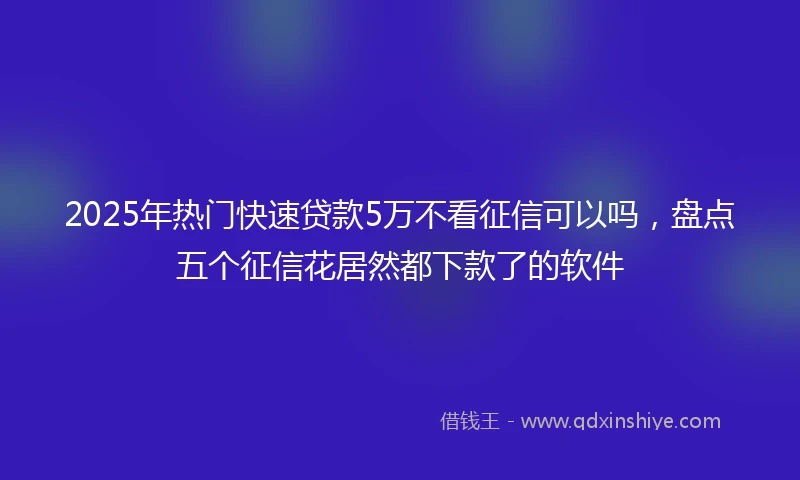 2025年热门快速贷款5万不看征信可以吗，盘点五个征信花居然都下款了的软件