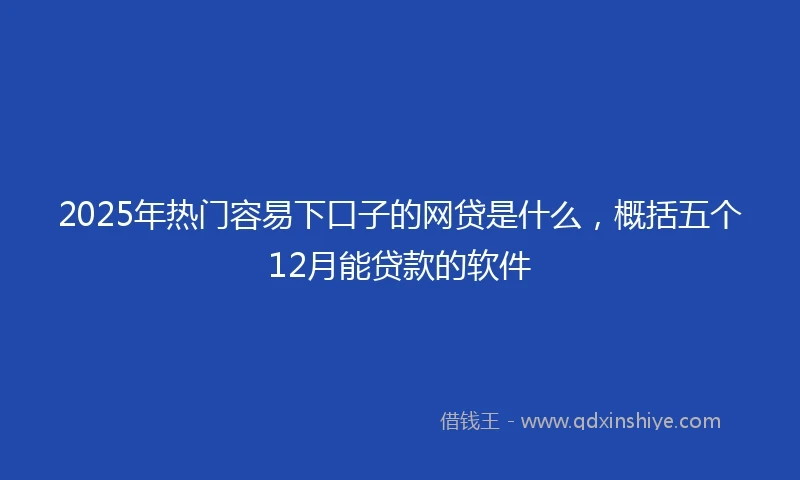 2025年热门容易下口子的网贷是什么，概括五个12月能贷款的软件