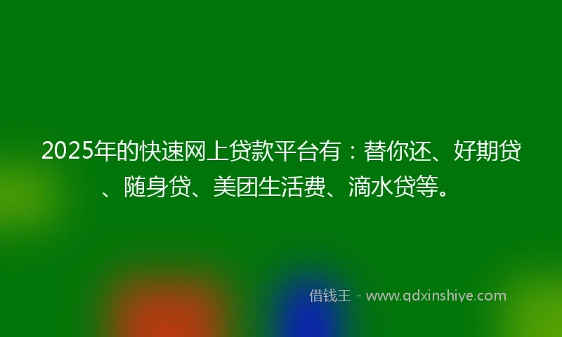 2025年的快速网上贷款平台有：替你还、好期贷、随身贷、美团生活费、滴水贷等。