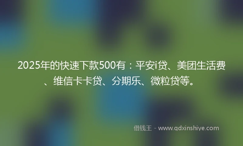 2025年的快速下款500有：平安i贷、美团生活费、维信卡卡贷、分期乐、微粒贷等。