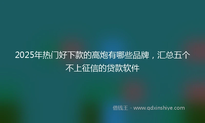 2025年热门好下款的高炮有哪些品牌，汇总五个不上征信的贷款软件