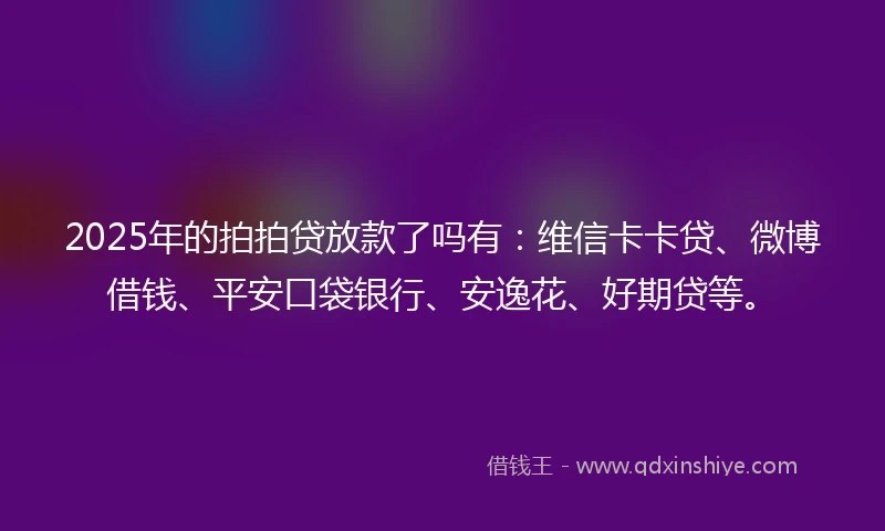 2025年的拍拍贷放款了吗有：维信卡卡贷、微博借钱、平安口袋银行、安逸花、好期贷等。
