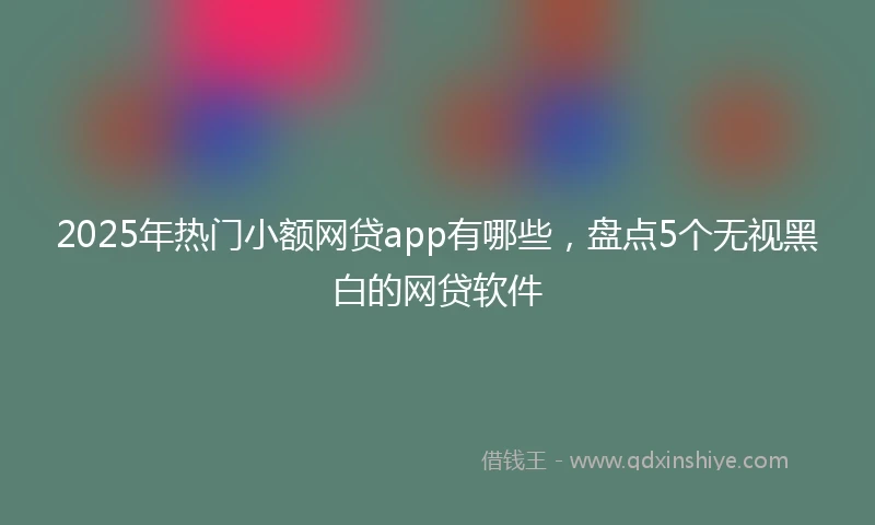 2025年热门小额网贷app有哪些，盘点5个无视黑白的网贷软件