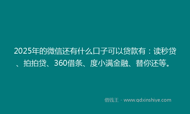 2025年的微信还有什么口子可以贷款有：读秒贷、拍拍贷、360借条、度小满金融、替你还等。