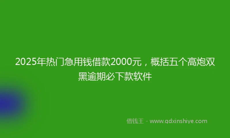 2025年热门急用钱借款2000元，概括五个高炮双黑逾期必下款软件