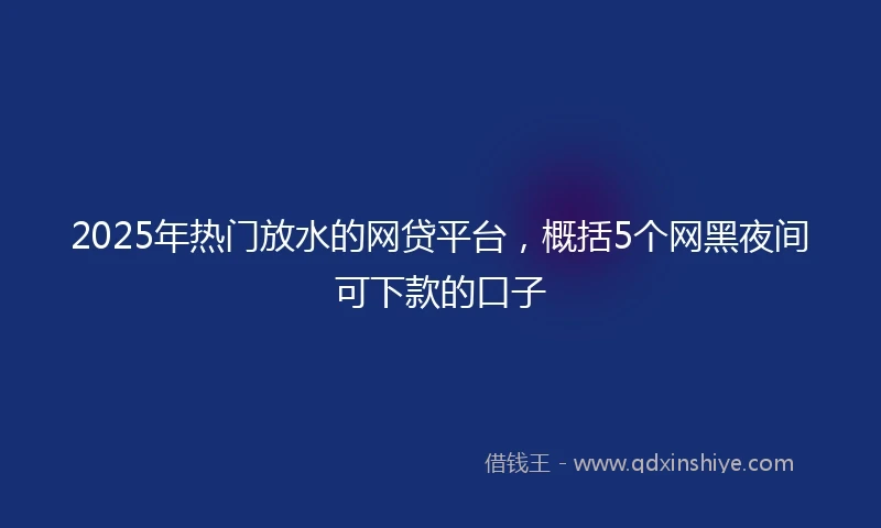 2025年热门放水的网贷平台，概括5个网黑夜间可下款的口子