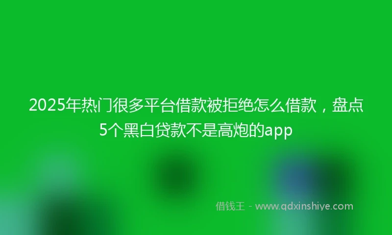 2025年热门很多平台借款被拒绝怎么借款，盘点5个黑白贷款不是高炮的app