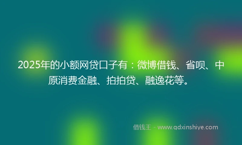 2025年的小额网贷口子有：微博借钱、省呗、中原消费金融、拍拍贷、融逸花等。