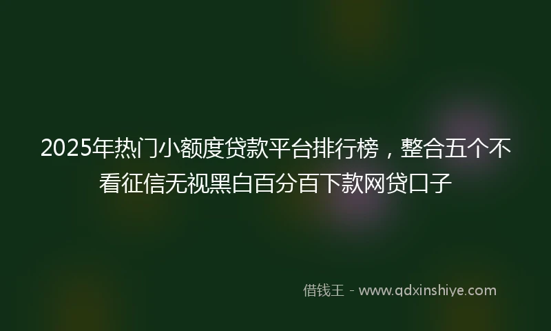 2025年热门小额度贷款平台排行榜，整合五个不看征信无视黑白百分百下款网贷口子