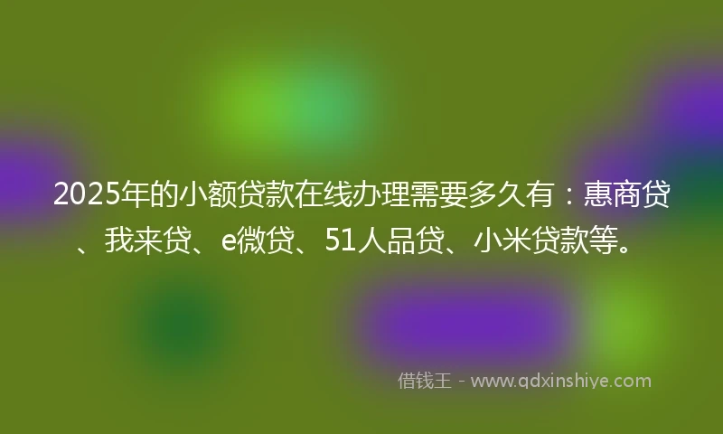 2025年的小额贷款在线办理需要多久有：惠商贷、我来贷、e微贷、51人品贷、小米贷款等。
