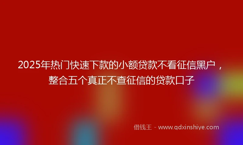 2025年热门快速下款的小额贷款不看征信黑户，整合五个真正不查征信的贷款口子