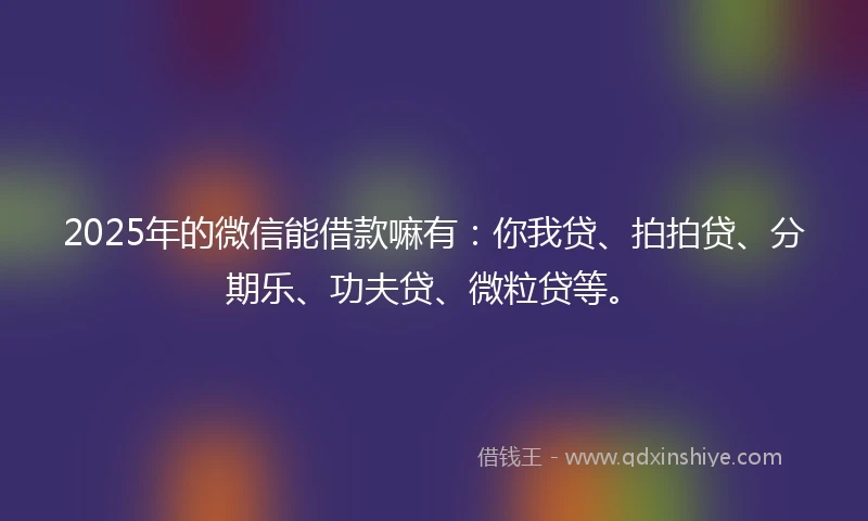 2025年的微信能借款嘛有：你我贷、拍拍贷、分期乐、功夫贷、微粒贷等。