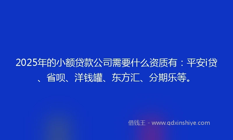2025年的小额贷款公司需要什么资质有：平安i贷、省呗、洋钱罐、东方汇、分期乐等。